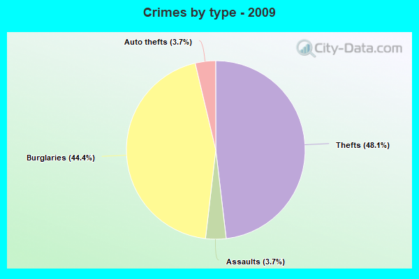 Crimes by type - 2009