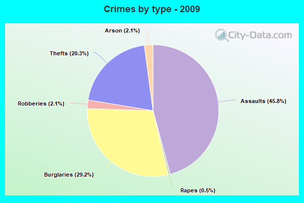 Crimes by type - 2009