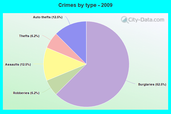 Crimes by type - 2009