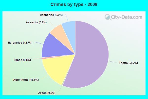 Crimes by type - 2009