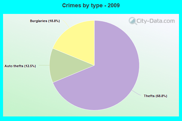 Crimes by type - 2009