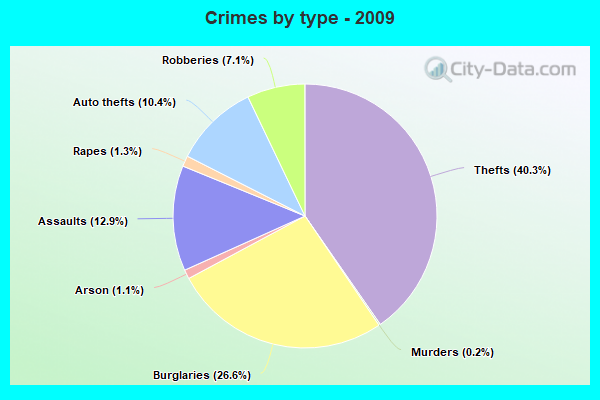 Crimes by type - 2009