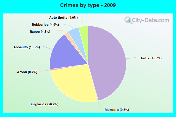 Crimes by type - 2009