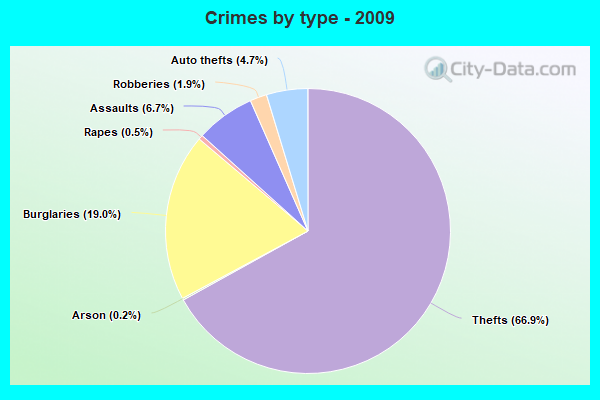 Crimes by type - 2009