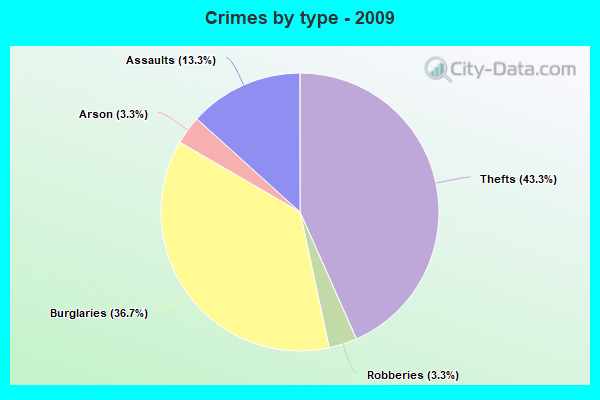 Crimes by type - 2009