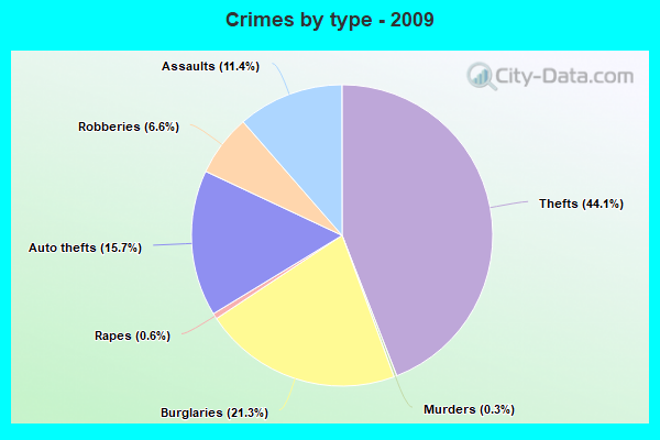 Crimes by type - 2009