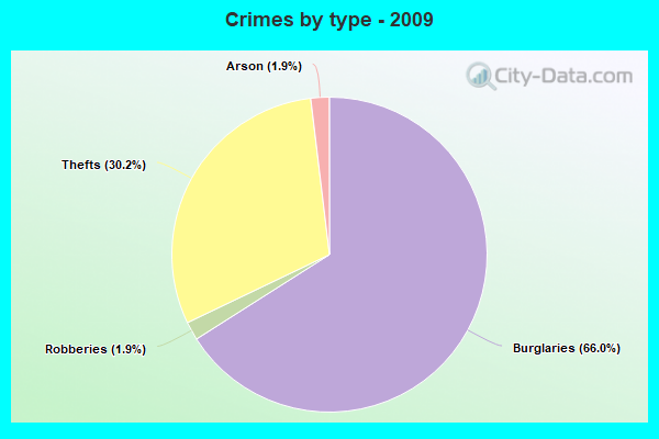 Crimes by type - 2009