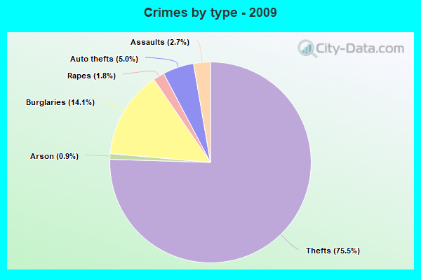 Crimes by type - 2009