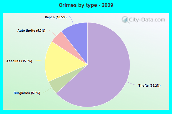 Crimes by type - 2009