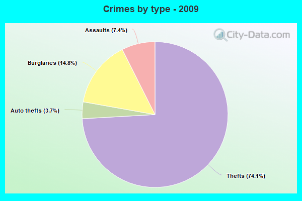 Crimes by type - 2009