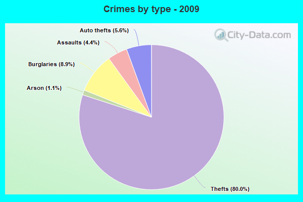 Crimes by type - 2009