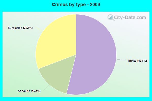 Crimes by type - 2009