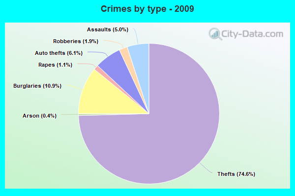 Crimes by type - 2009