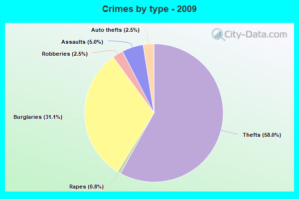 Crimes by type - 2009