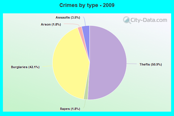 Crimes by type - 2009