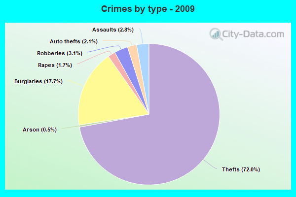 Crimes by type - 2009