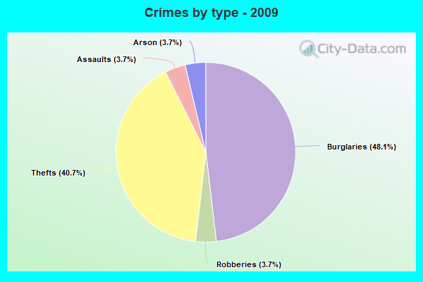 Crimes by type - 2009