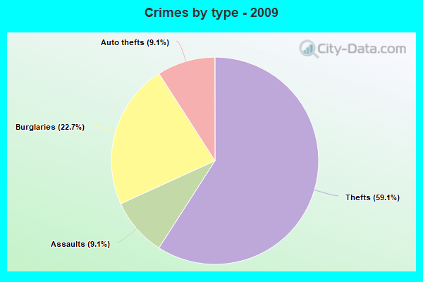 Crimes by type - 2009