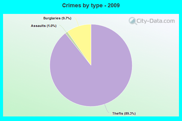 Crimes by type - 2009