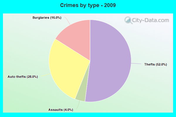 Crimes by type - 2009