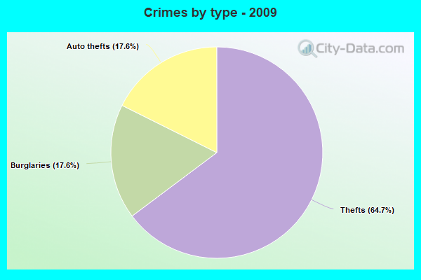 Crimes by type - 2009