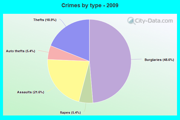 Crimes by type - 2009