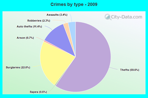 Crimes by type - 2009