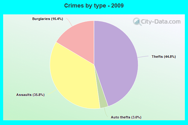 Crimes by type - 2009