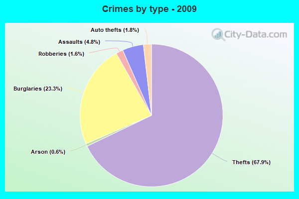 Crimes by type - 2009