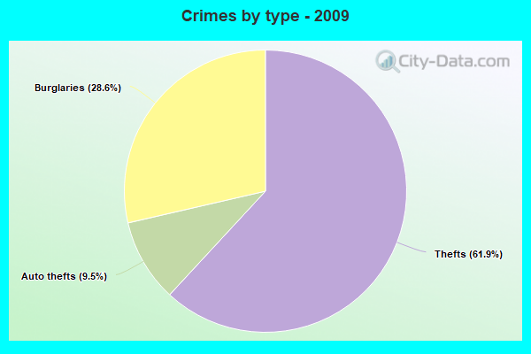 Crimes by type - 2009