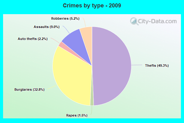 Crimes by type - 2009