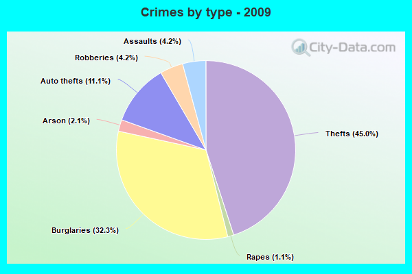 Crimes by type - 2009