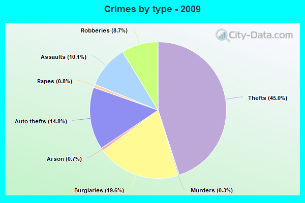 Crimes by type - 2009