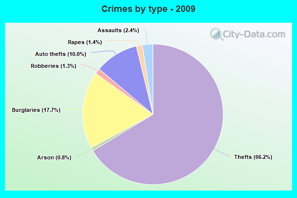 Crimes by type - 2009