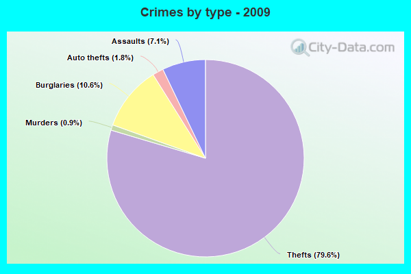 Crimes by type - 2009