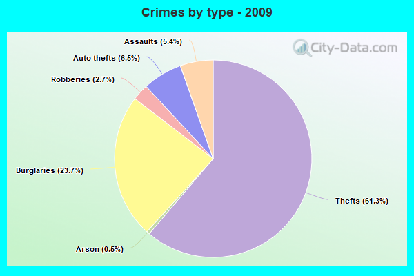 Crimes by type - 2009