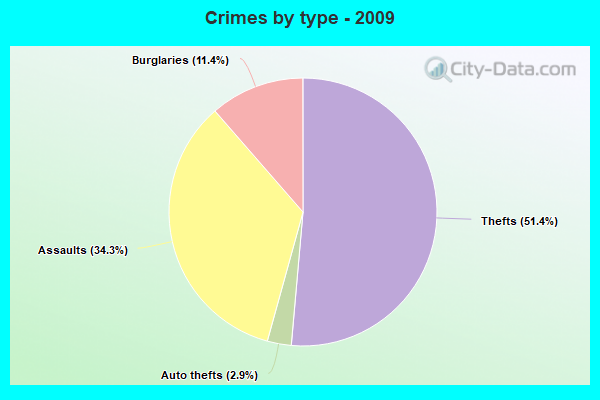 Crimes by type - 2009