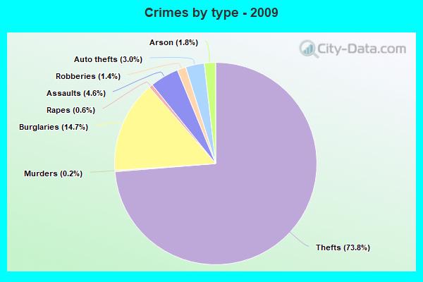 Crimes by type - 2009