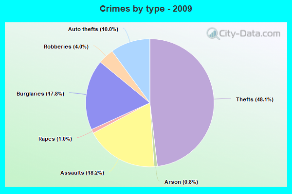 Crimes by type - 2009