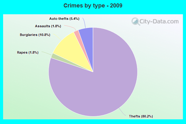 Crimes by type - 2009