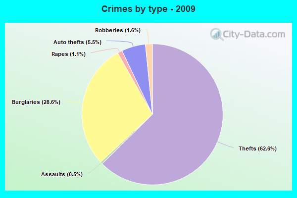 Crimes by type - 2009