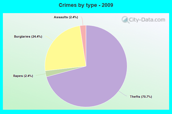 Crimes by type - 2009