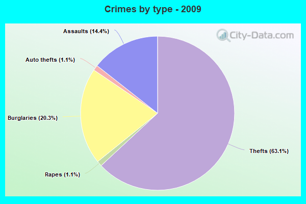 Crimes by type - 2009