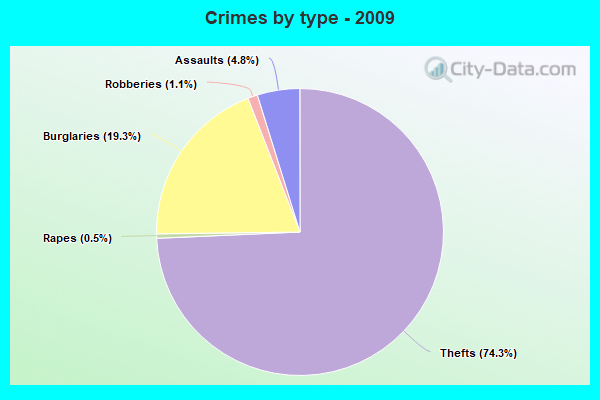 Crimes by type - 2009