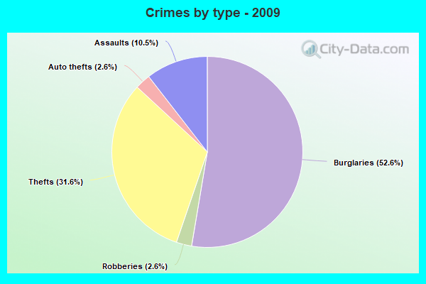 Crimes by type - 2009