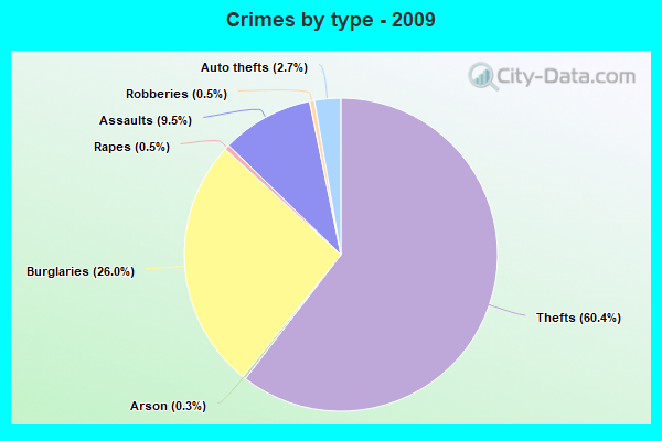 Crimes by type - 2009