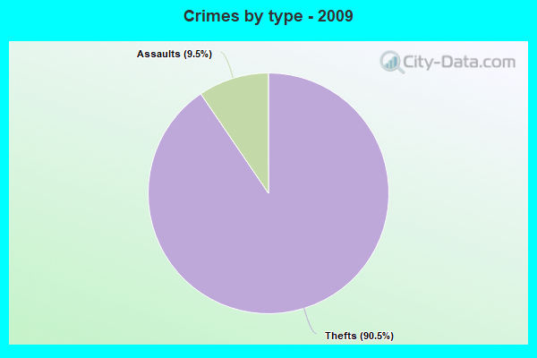 Crimes by type - 2009