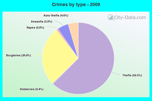 Crimes by type - 2009