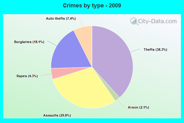 Crimes by type - 2009