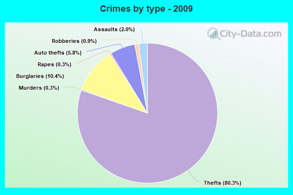 Crimes by type - 2009